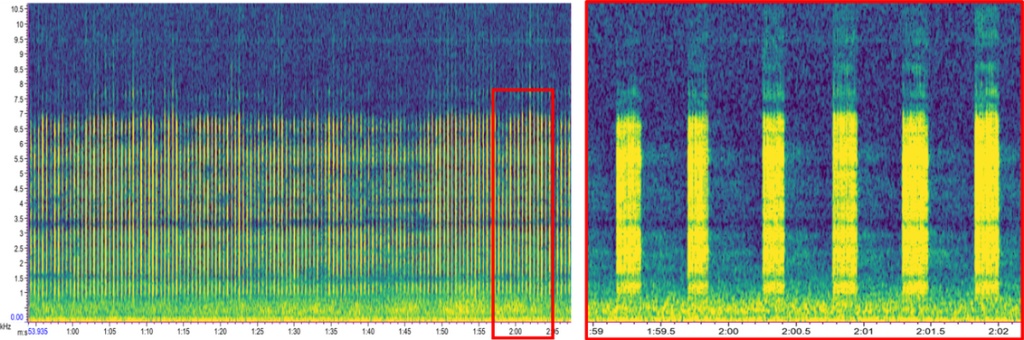 Spectogram