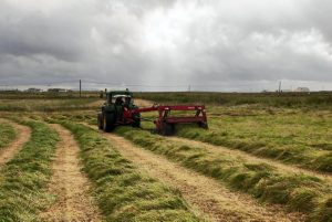 Tractor cutting grass