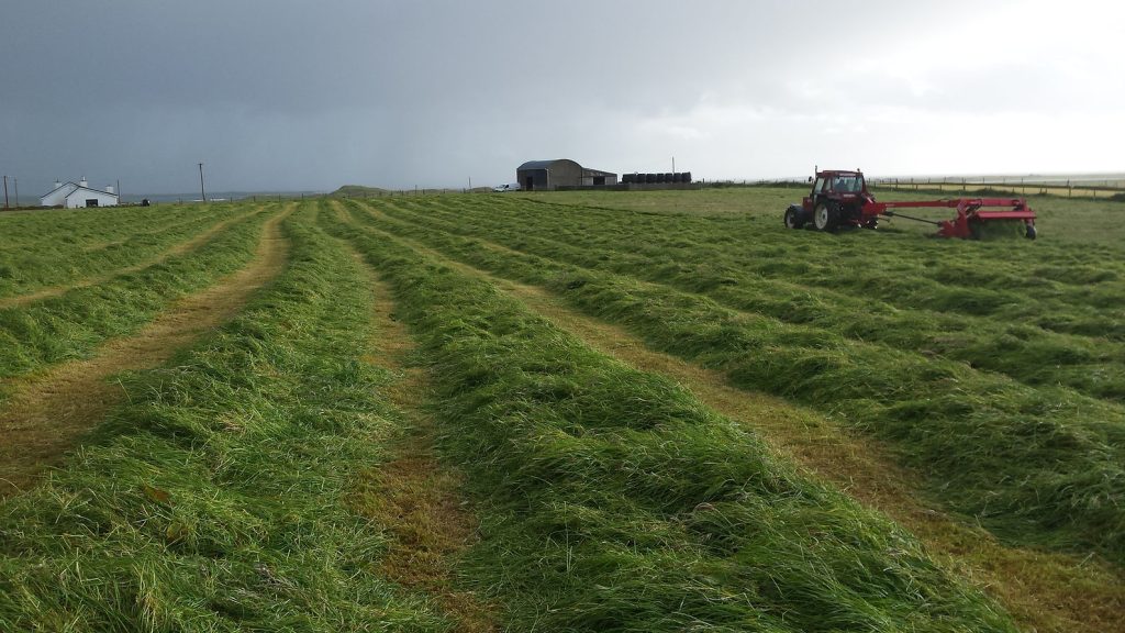 Tractor cutting grass