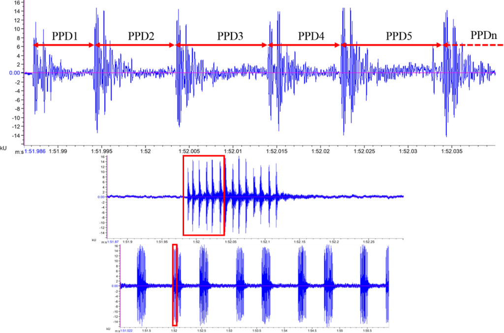 Expanded Waveform of Male Corncrake Call