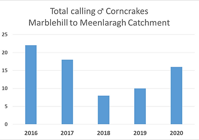 Total Male Calling Corncrakes - Marblehill to Meenlaragh