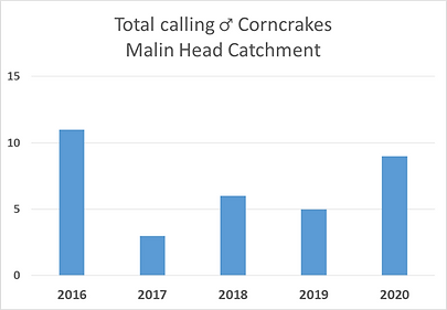 Male Calling Corncrakes 2016 to 2020