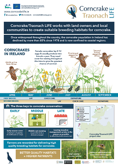 Corncrake LIFE Poster - English - PDF