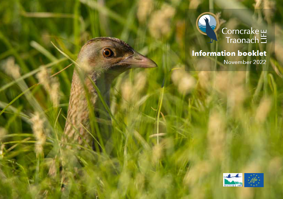 Download the Corncrake LIFE Information Booklet PDF