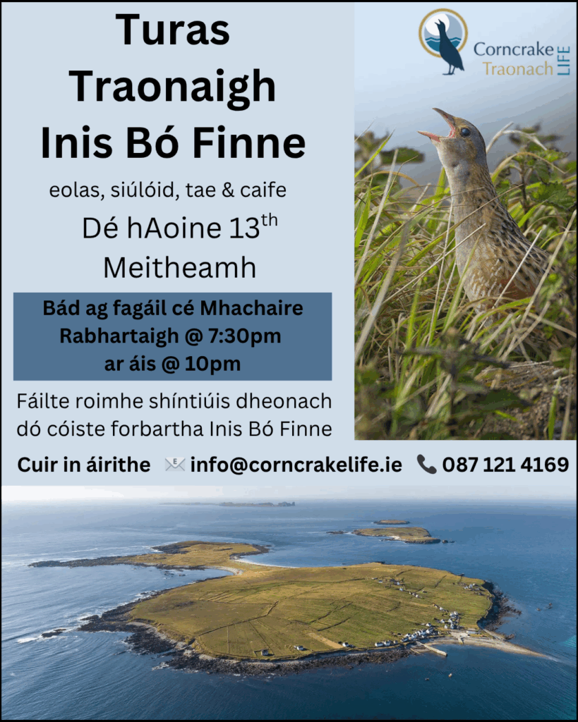 Midnight Tour Flyer (Text Above - Gaeilge)