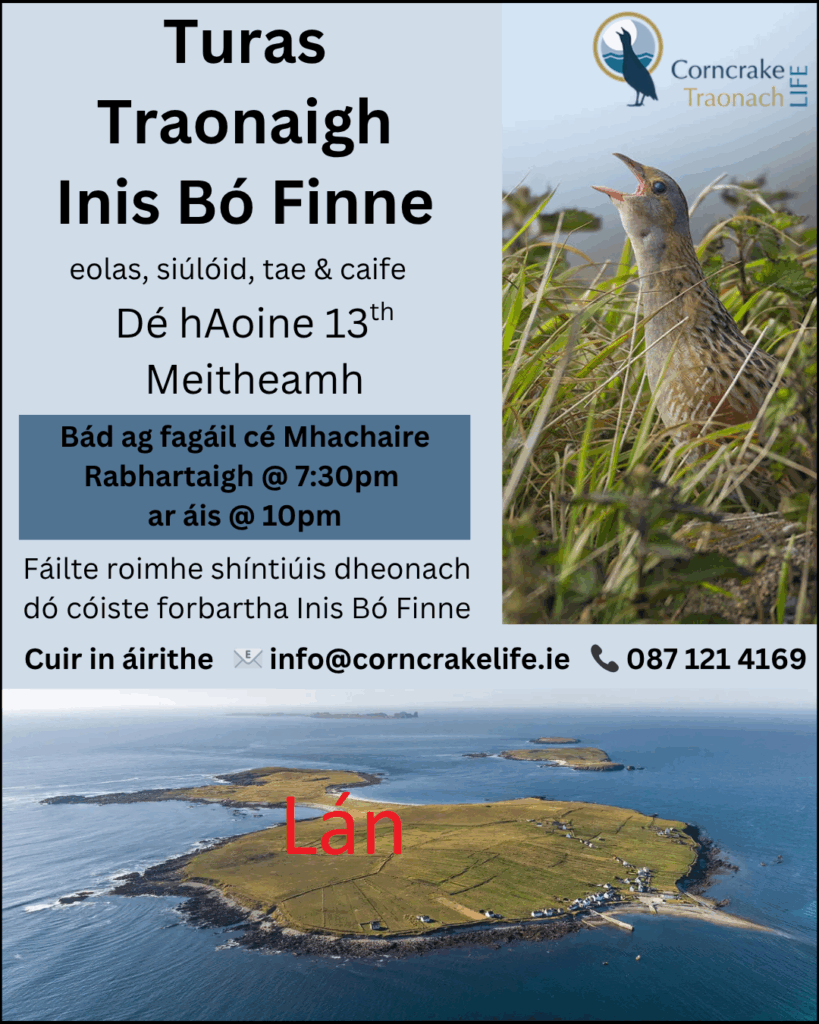 Midnight Tour Flyer (Text Above - Gaeilge)